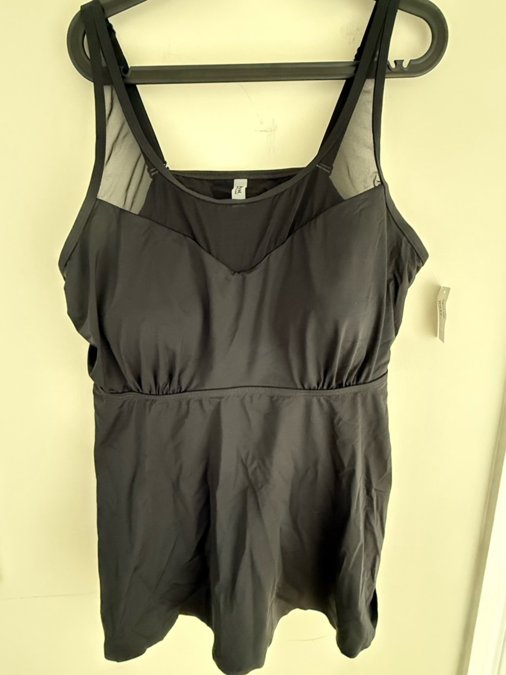 Black Swimdress with Mesh Accent
